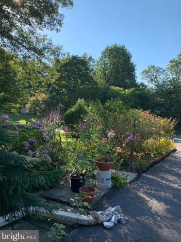 15037 Butterchurn Ln, Silver Spring MD 20905-5741 exterior