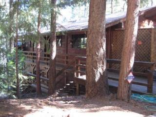 14782 Colter Way, Nimshew, CA 95954-9207