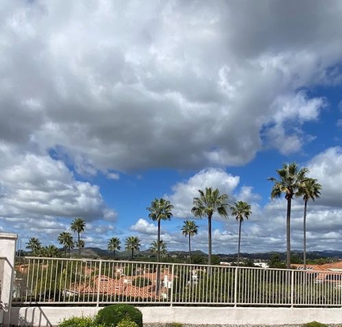 21425 Canaria, San Juan Capistrano, CA 92692-4941