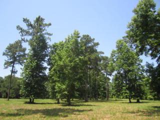 4389 Highway 165, Meggett, SC 29449-6013