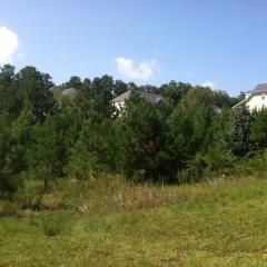 4780 Smokestone Dr, Douglasville, GA 30135-4990