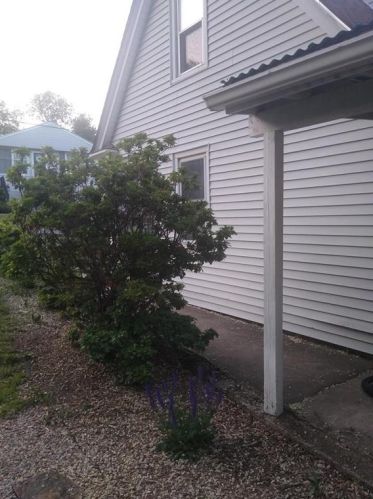 305 Rosemont Ave, Providence, RI 02919-3524