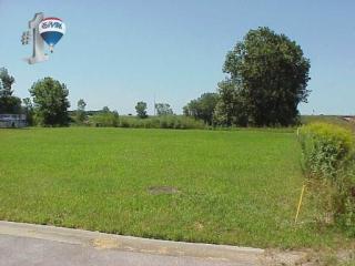 432 Bonnie Ln, Peotone, IL 60468-8748