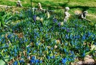 6355 Florence Way, Englewood CO 80111-5624 exterior