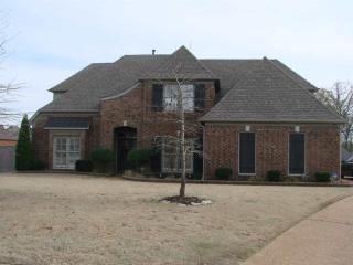 1299 Purple Mountain Cv, Piperton, TN 38017-3973