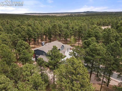 17415 Charter Pines Dr, Woodmoor CO  80132-8468 exterior