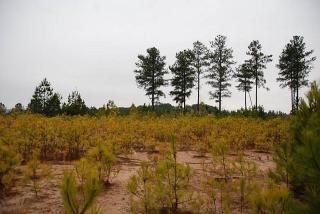 101 Carter Ln, Holly Springs, GA 30115-2294