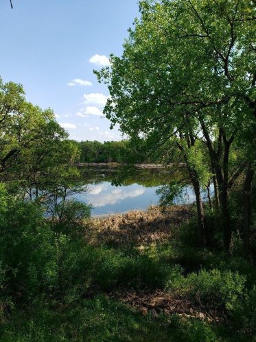 9511 Cedar Lake Rd, Minneapolis, MN 55426-2362