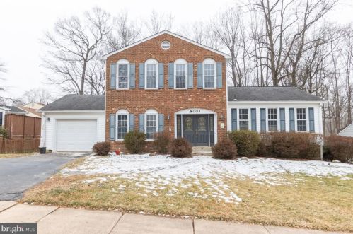 8003 Pyracantha Ct, Springfield, VA 22153-3015