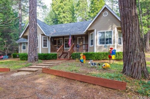 6575 Black Shadow Rd, Nimshew, CA 95954-9384