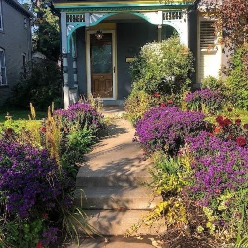 525 Pearl St, Denver CO  80203-3815 exterior