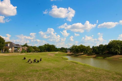 1503 Rambling Stone Dr, Richmond, TX 77406-6641