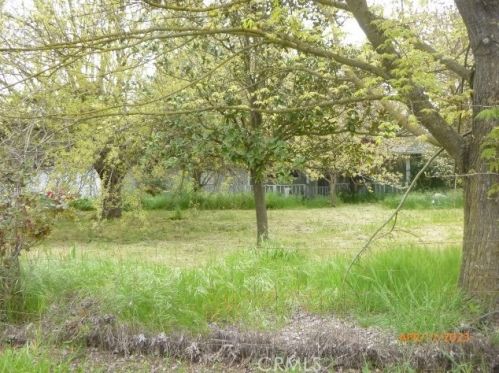 1242 Lewis Oak Rd, Gridley, CA 95948-9514