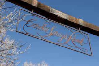 11510 Eagle Springs Trl, Longmont, CO 80503-7348
