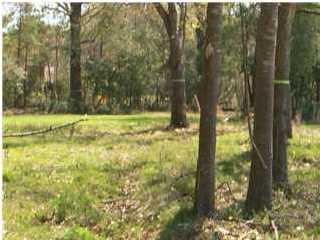 2210 Arthur Gaillard Ln, Charleston, SC 29414-6264