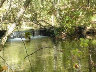 855 Willingham Spring Rd, Thomaston, GA 30286-1042