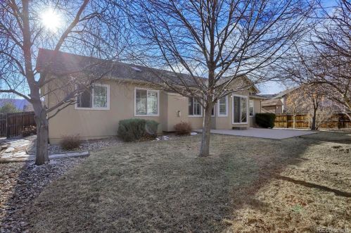 17184 Buffalo Vly Path, Woodmoor CO 80132-7152 exterior