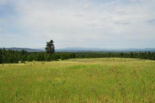 39812 Jackson Rd, Elk, WA 99009-8646