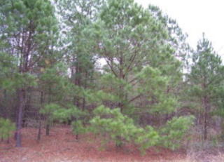 2865 Steeplechase Dr, Dalzell, SC 29040-8873