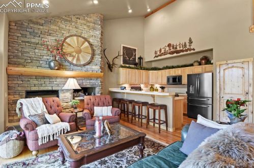 133 Elk Grove Ln, Woodland Park CO 80863-9171 exterior