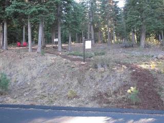2301 Overlook Pl, Truckee, CA 96161-4214