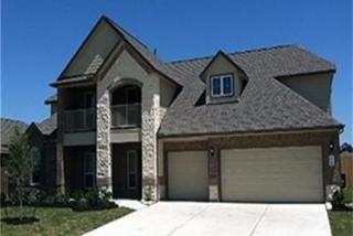 30706 Wisteria Trace Dr, Spring TX  77386-4003 exterior