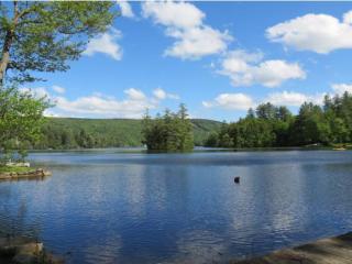 1480 Route 100, Grahamville, VT 05149-9676