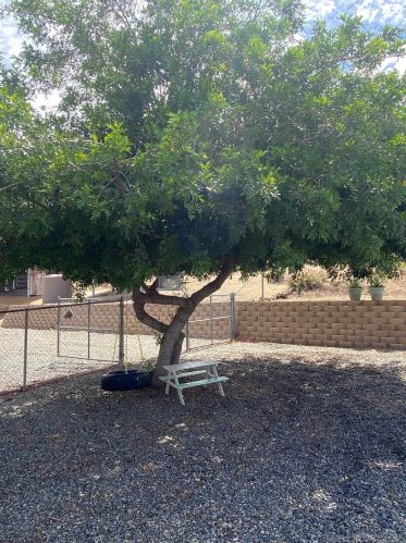 32251 Cole Grade Rd, Valley Center, CA 92082-4517
