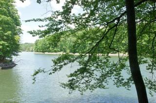 1490 Old Plantation Rd, Goodview, VA 24095-2508
