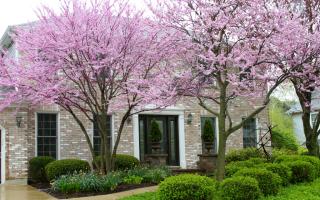 1436 Meander Dr, Naperville, IL 60565-4103