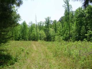 200 Nugget Ridge Rd, Dawsonville, GA 30534-2965