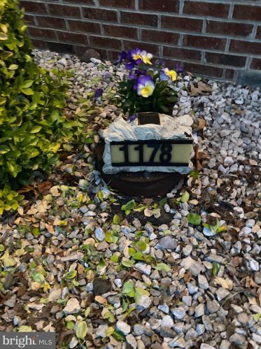 1178 Hisey Ave, Woodstock, VA 22664-2004