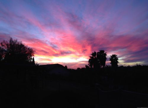 616 Estrelita Dr, Vista CA  92084-7926 exterior