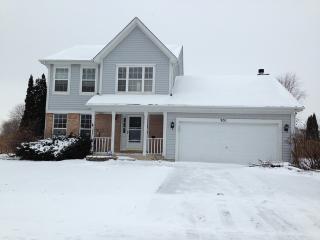 931 Briarcliff Rd, Lemont IL  60440-5218 exterior