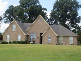 220 Brookwood Cir, Somerville, TN 38060-4078