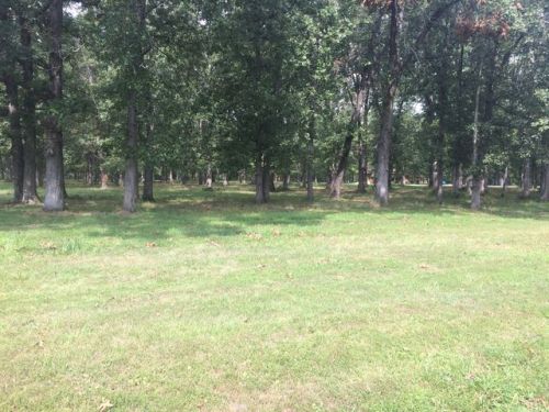 52 Wildwood Pl, Boyd, IL 62830