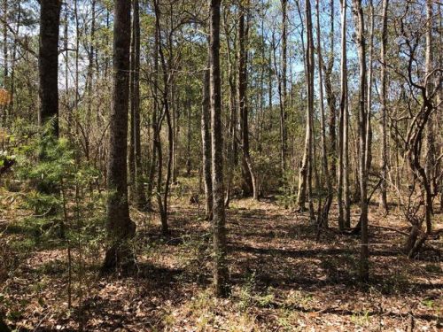 19 Et Poole Rd, Crossroads, MS 39470