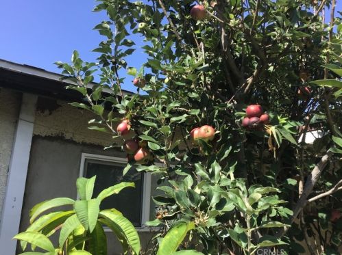 1302 Arlington Ave, Anaheim CA  92801-2003 exterior