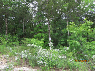 327 Shore Acres Dr, Powersite, MO 65731-3162