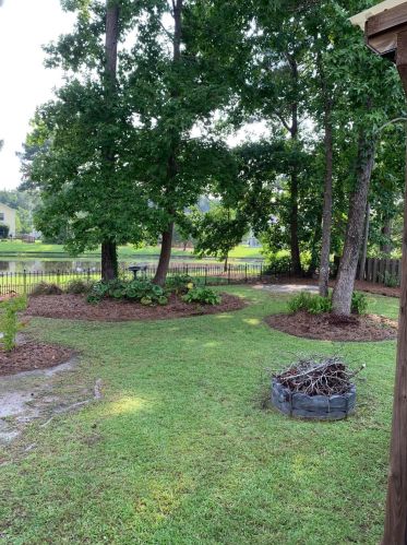 288 Sweet Alyssum Dr, Ladson SC  29456-3899 exterior