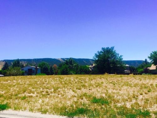 224 Limberpine Cir, Parachute, CO 81635-5601