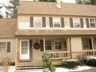 130 Winterwood Dr, Londonderry, NH 03053-3321