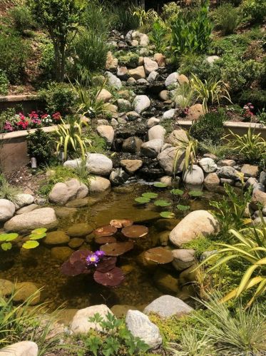 2010 Buckingham Pl, Glendale CA  91206-1401 exterior