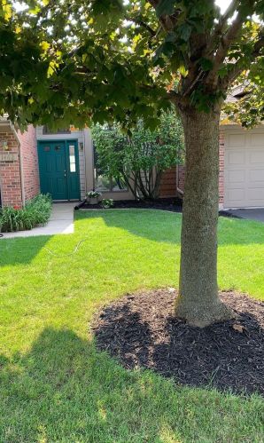 1462 Grand Isle Ct, Hobart, IN 46342-6224