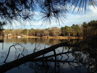 1645 Kingfisher Dr, Smallwood, SC 29130-9102