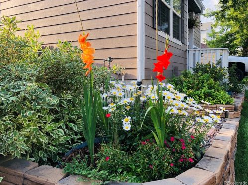 5226 Riviera Cir, Aurora CO 80015-6016 exterior