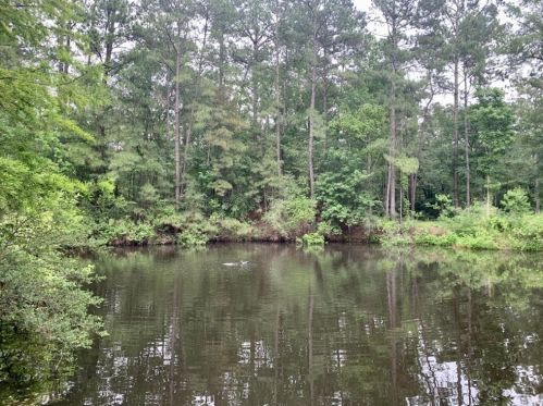 14974 East Dr, Conroe, TX 77302-6600