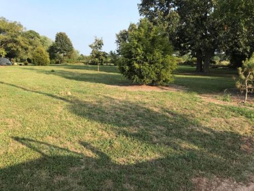 258 Ragsdale St, Cedar Gap, MO 65746-8427