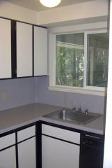 1017 Lewis St, Boise ID  83712-8316 exterior