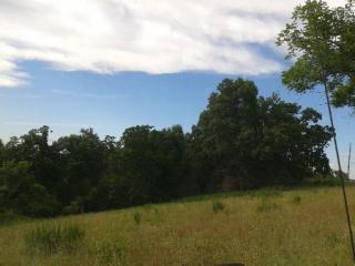 1194 Madison 1520, Huntsville, AR 72740-8148